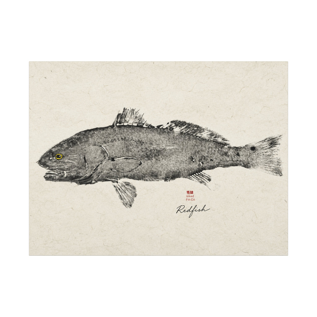 Redfish - Original Gyotaku Impression by Inked Fin Co.