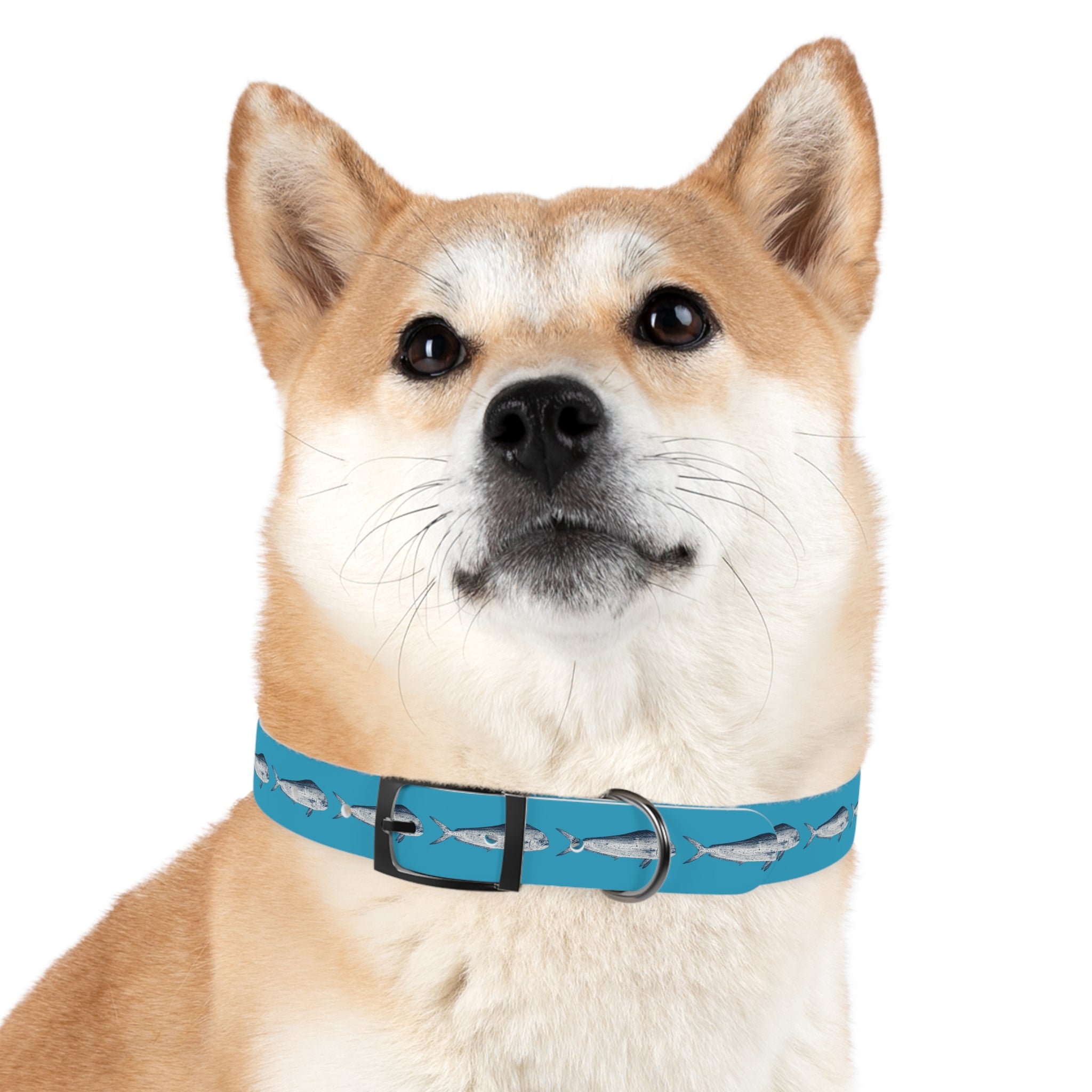 Mahi Gyotaku-Inspired Pet Collar (Multiple Colors)