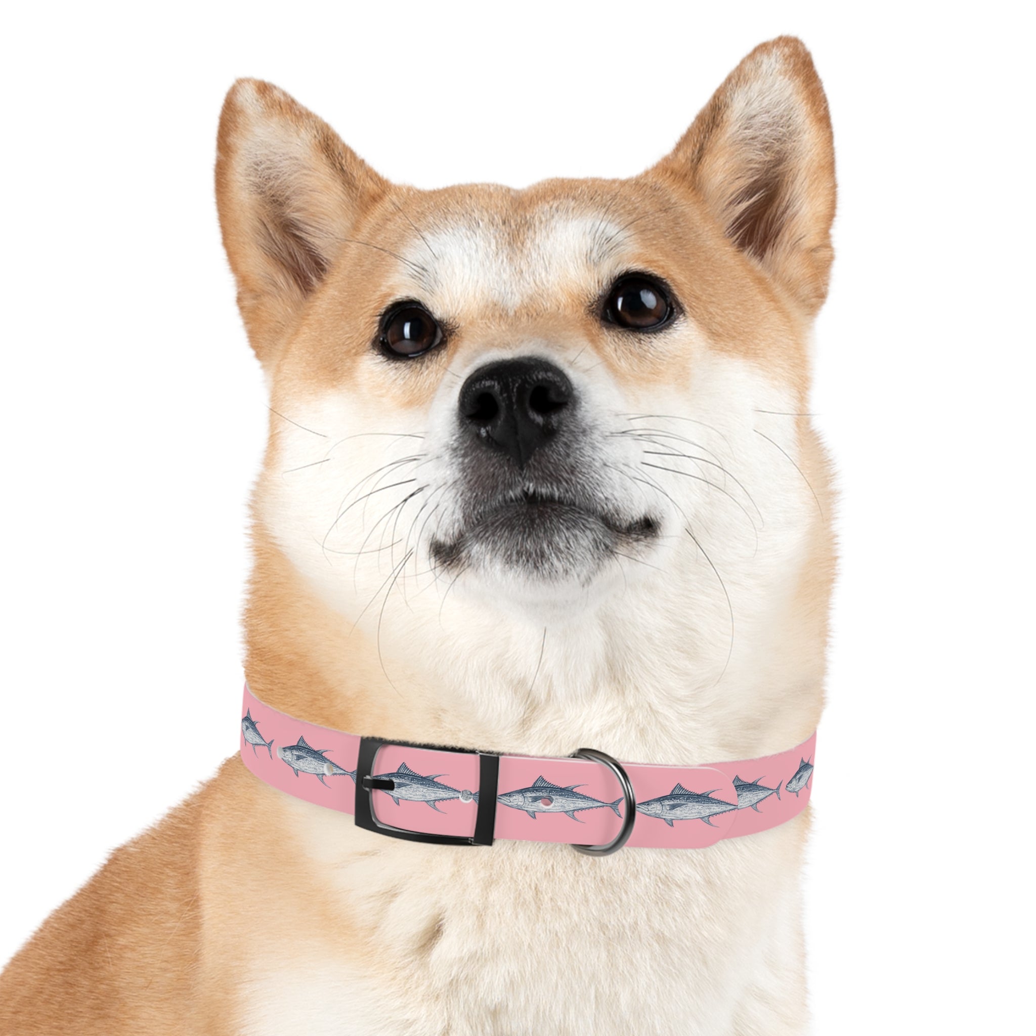 Yellowfin Tuna Gyotaku-Inspired Pet Collar (Multiple Colors)