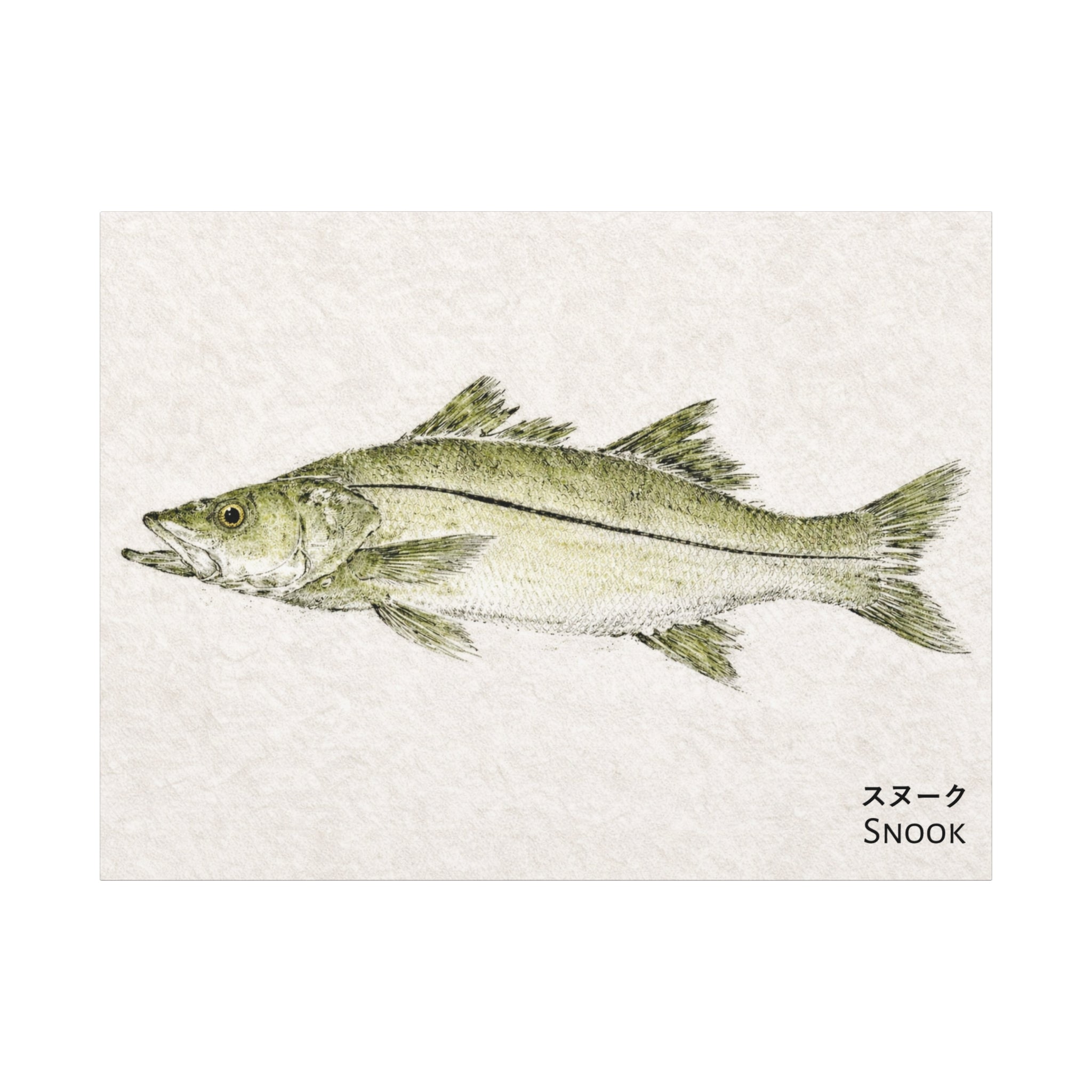 Snook Gyotaku-Inspired Canvas Wall Art