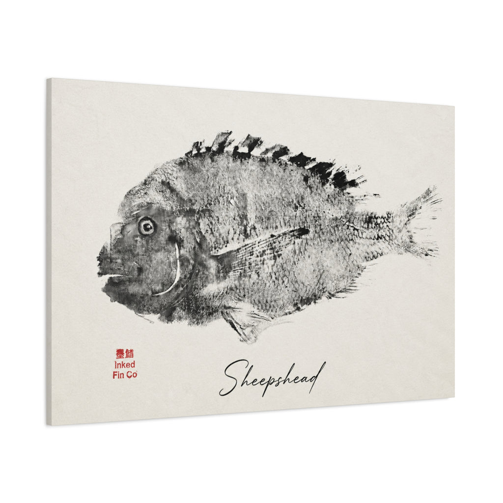 Sheepshead — An Original Inked Fin Co. Gyotaku