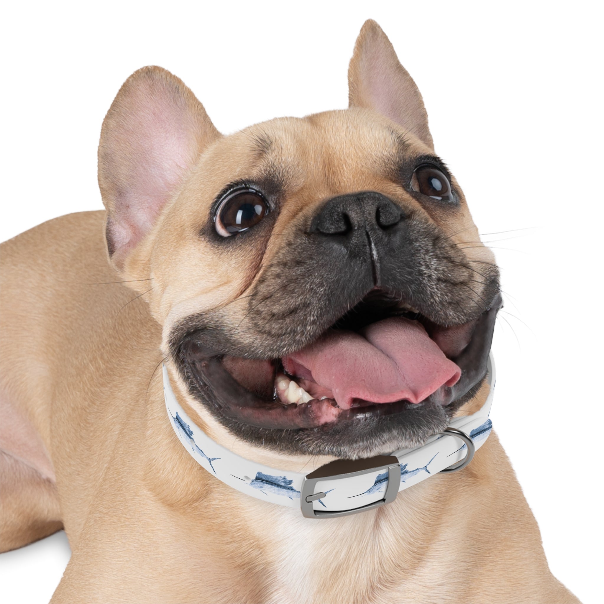 Sailfish Gyotaku-Inspired Pet Collar (Multiple Colors)