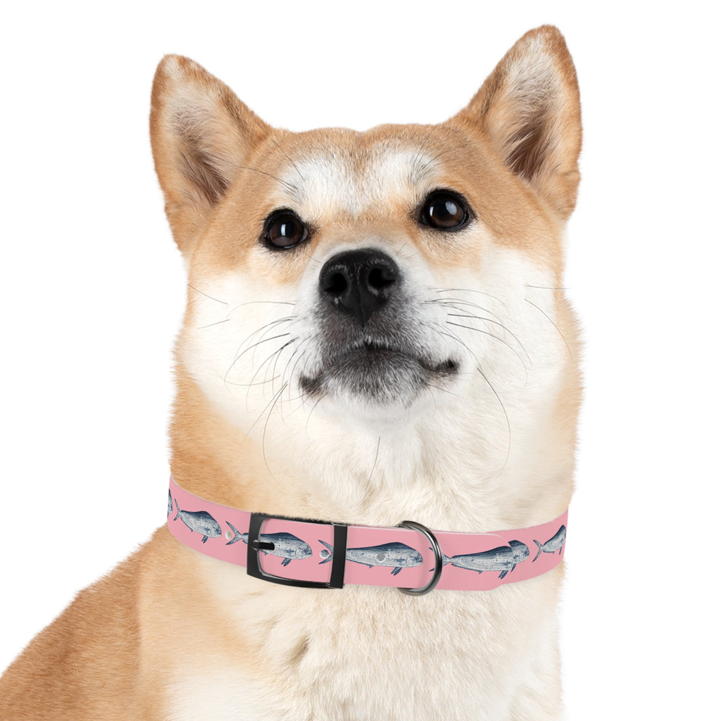 Mahi Gyotaku-Inspired Pet Collar