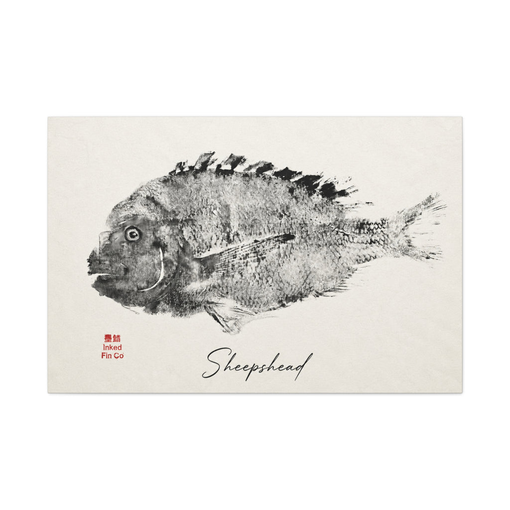 Sheepshead — An Original Inked Fin Co. Gyotaku