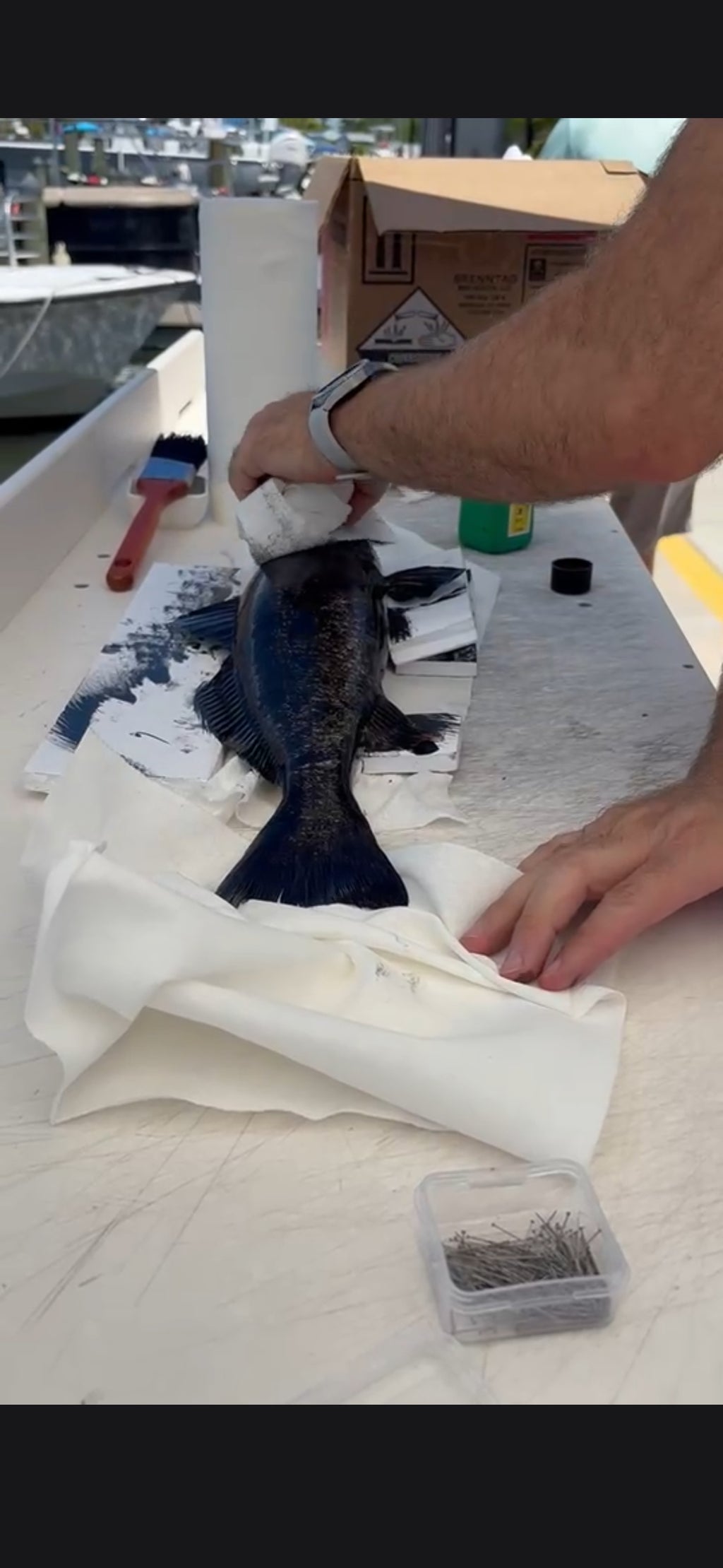 Redfish - Original Gyotaku Impression