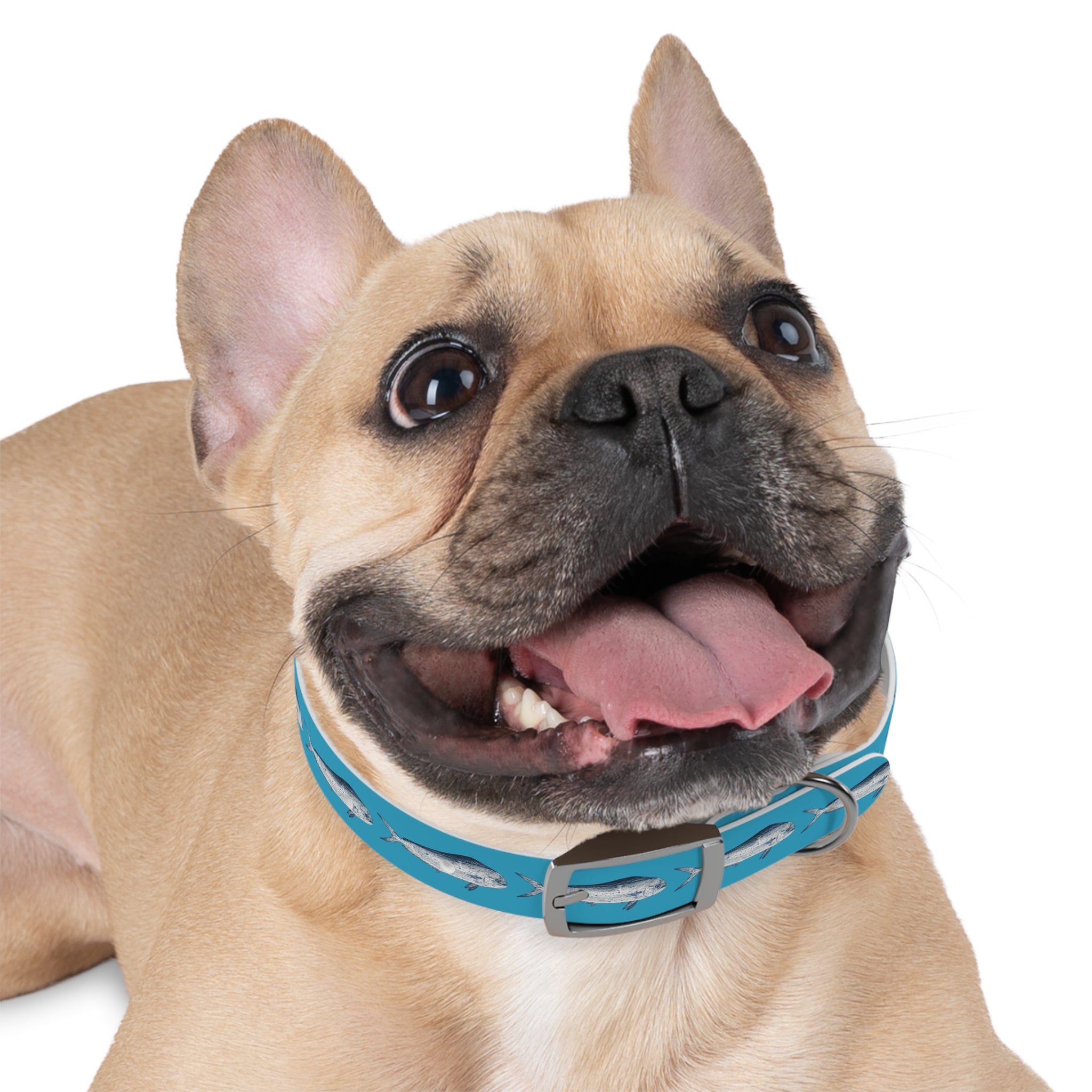 Mahi Gyotaku-Inspired Pet Collar (Multiple Colors)