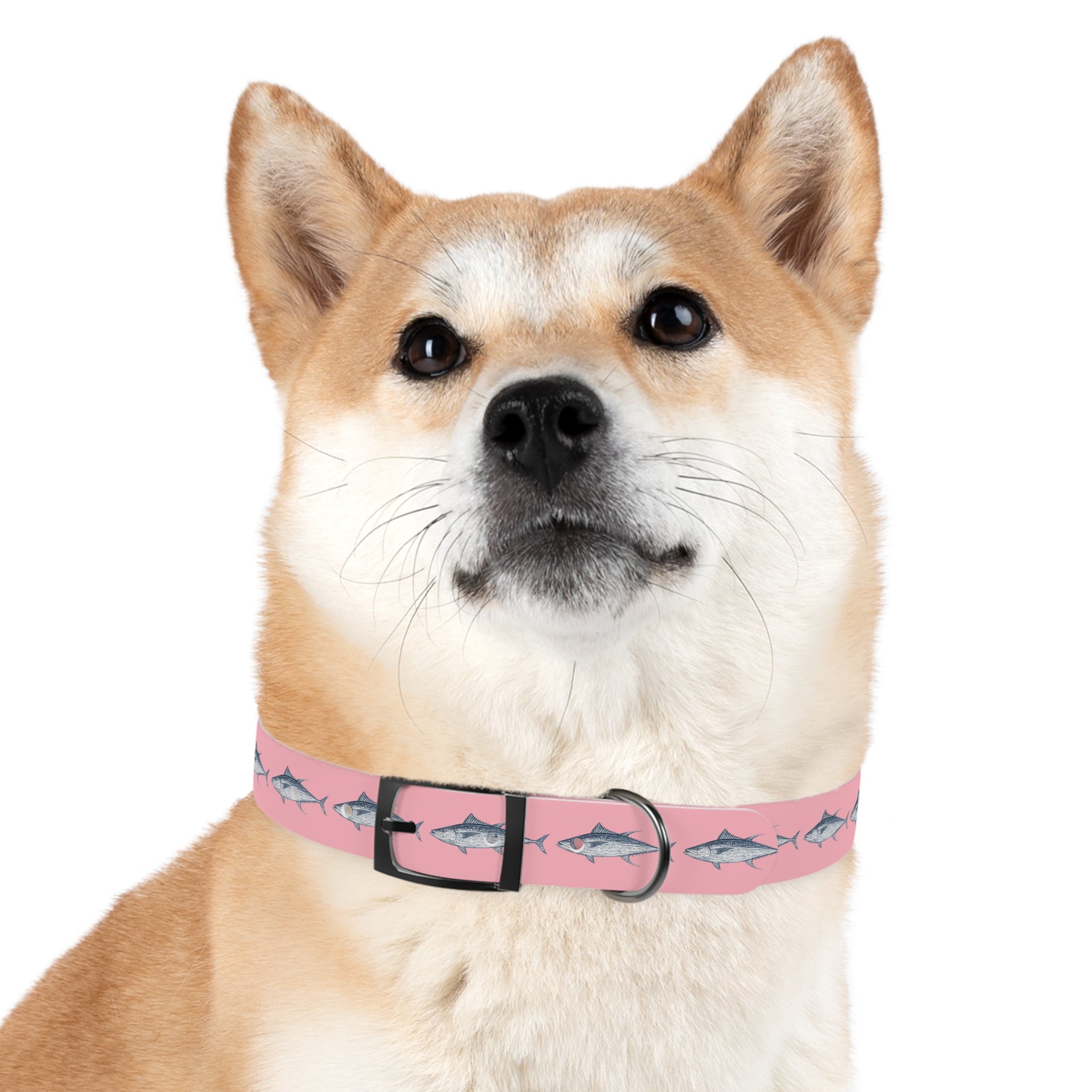 Yellowfin Tuna Gyotaku-Inspired Pet Collar (Multiple Colors)