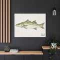 Snook Gyotaku-Inspired Canvas Wall Art