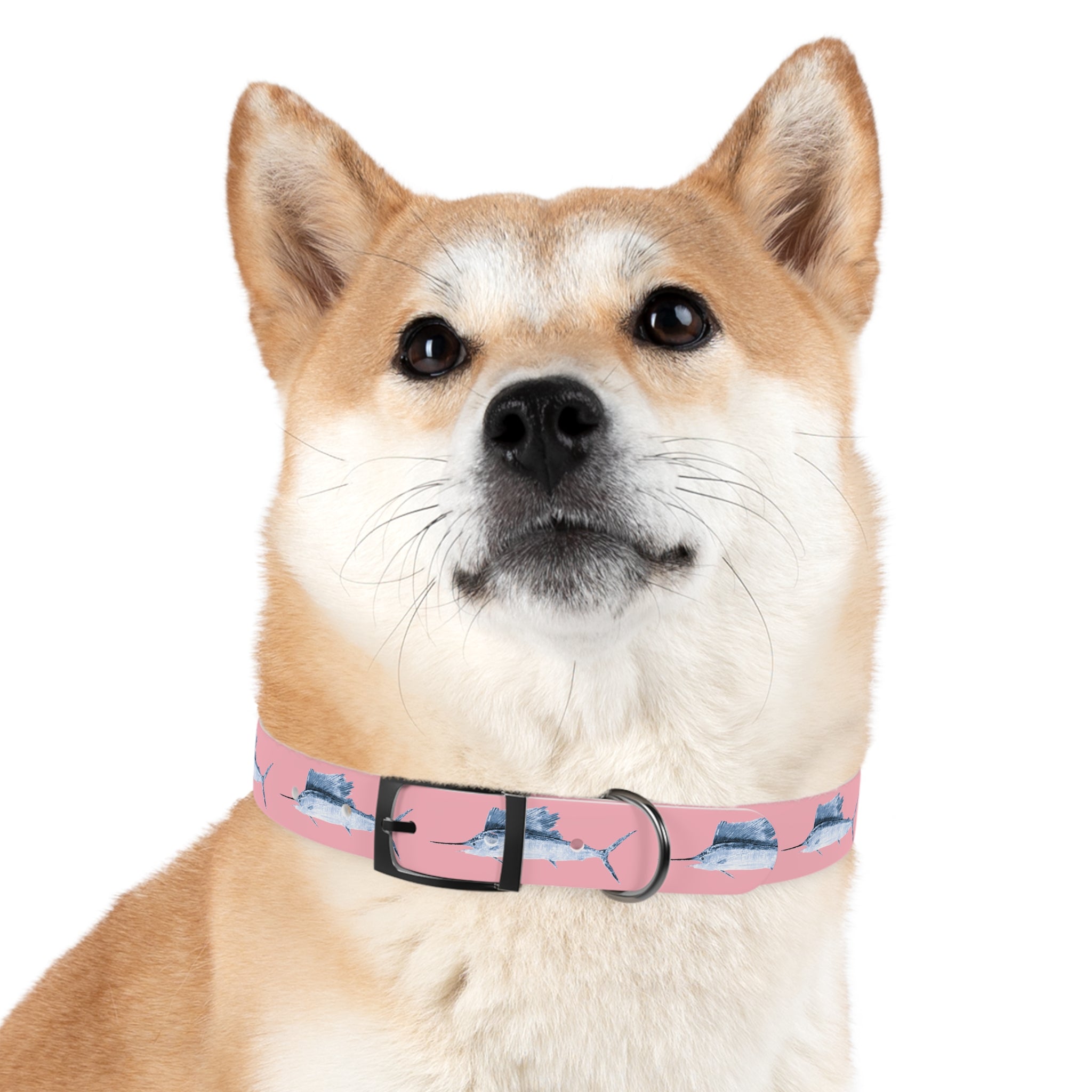 Sailfish Gyotaku-Inspired Pet Collar