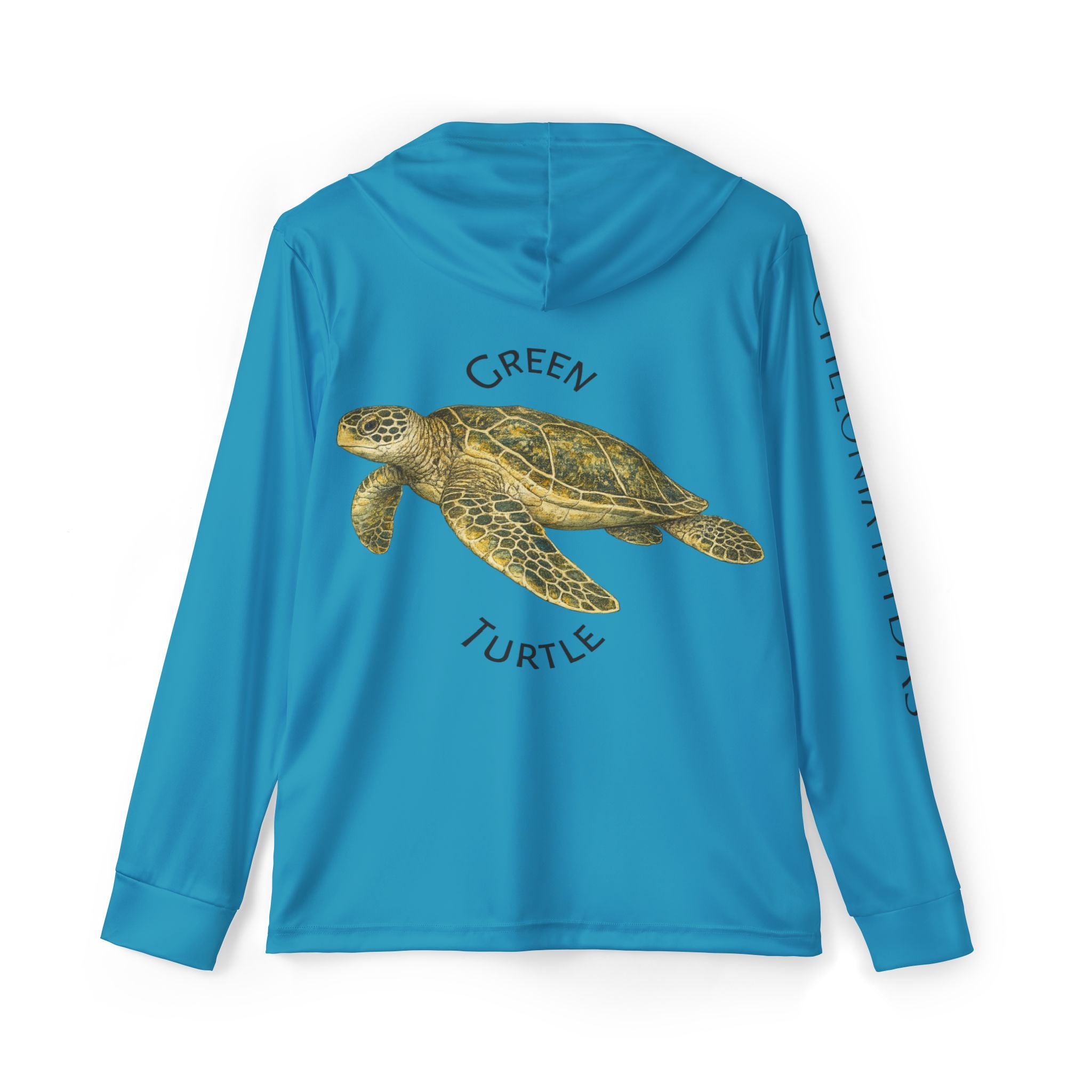 Green Sea Turtle