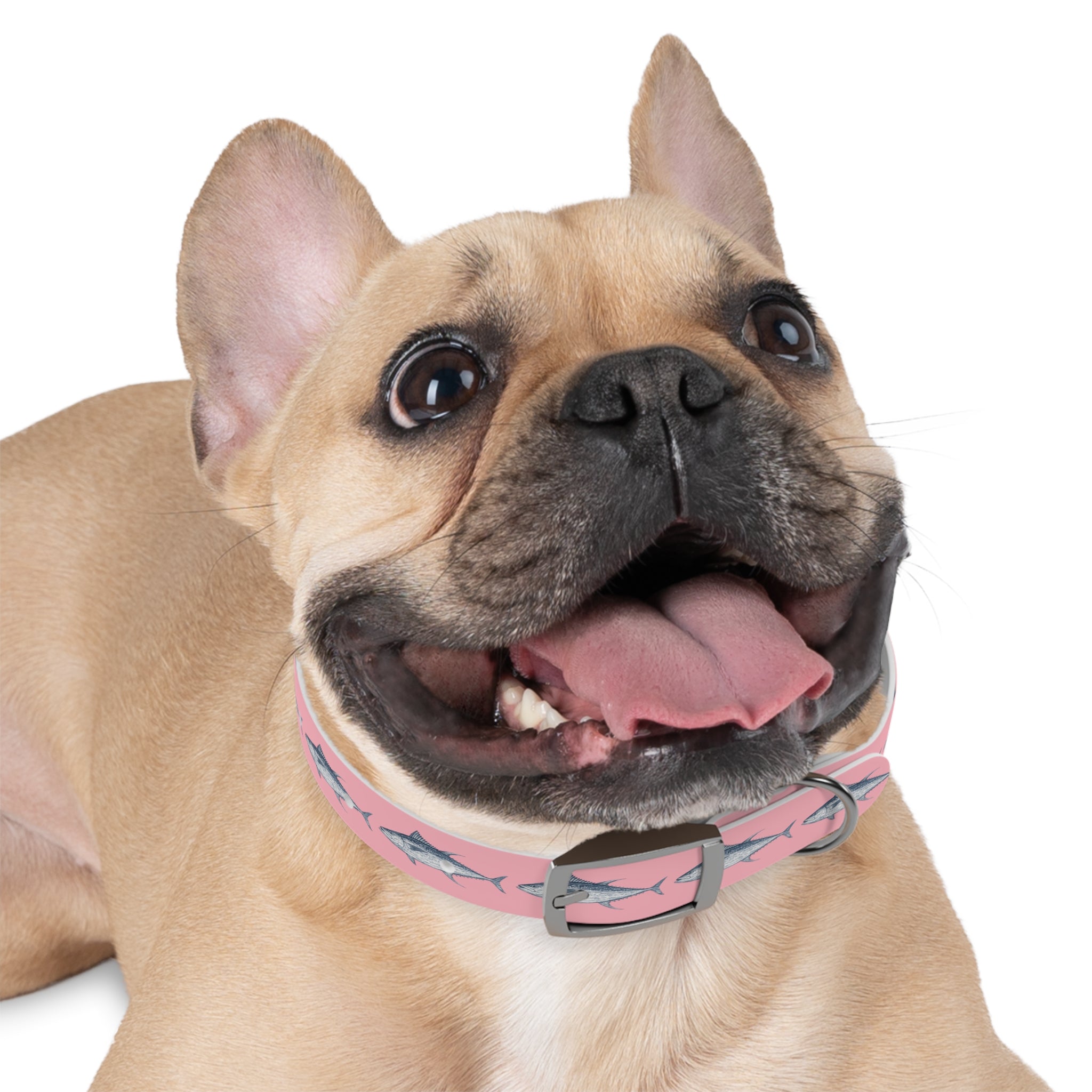 Yellowfin Tuna Gyotaku-Inspired Pet Collar (Multiple Colors)