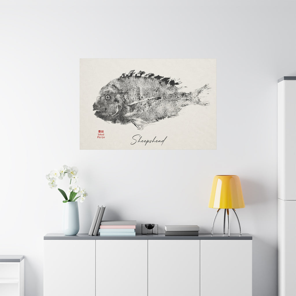 Sheepshead — An Original Inked Fin Co. Gyotaku