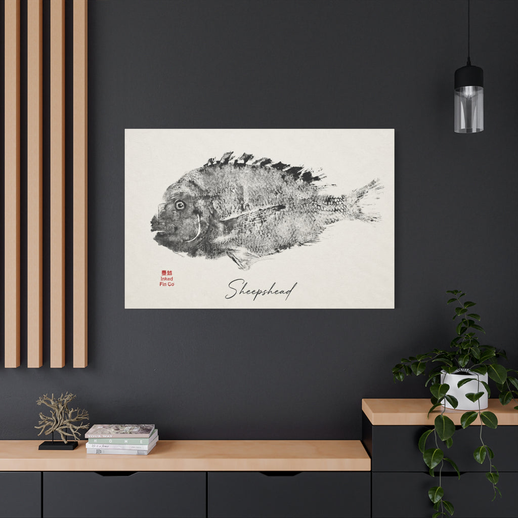Sheepshead — An Original Inked Fin Co. Gyotaku
