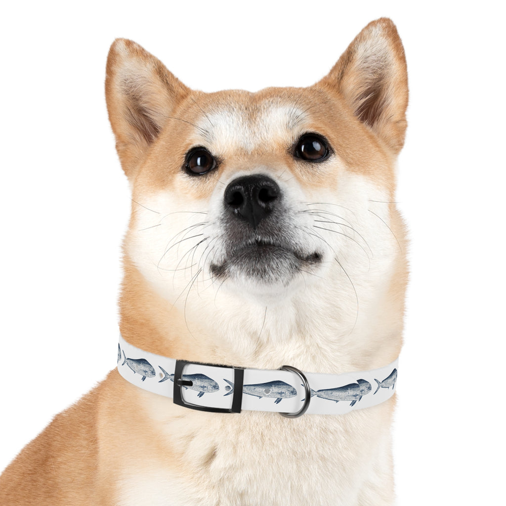 Mahi Gyotaku-Inspired Pet Collar