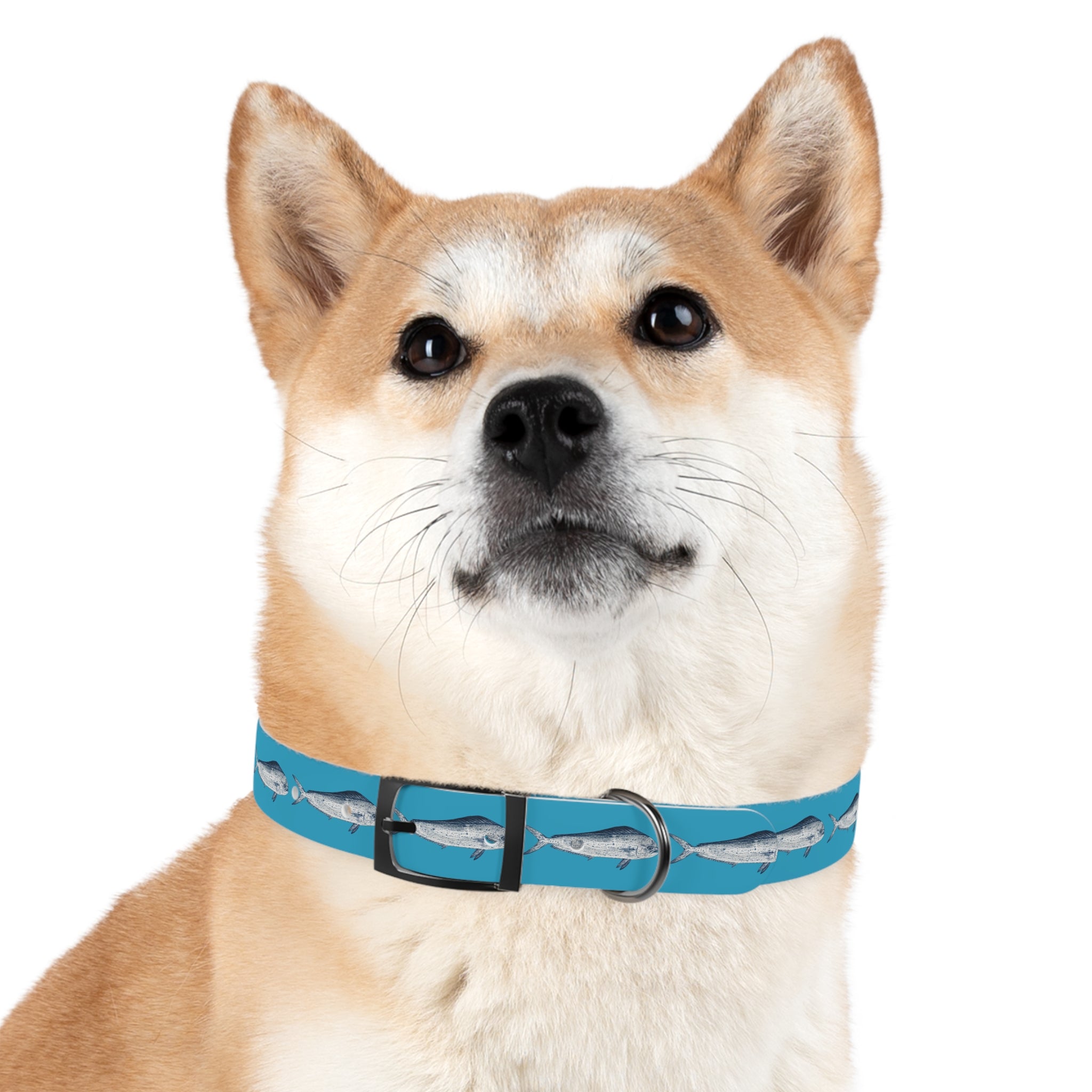 Mahi Gyotaku-Inspired Pet Collar (Multiple Colors)